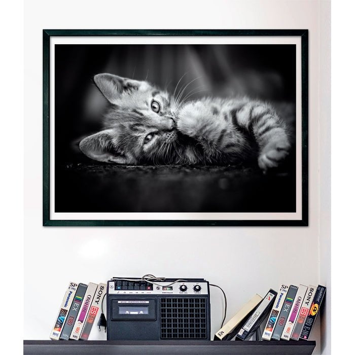 Puzzle Kitty High Quality 1000pzs