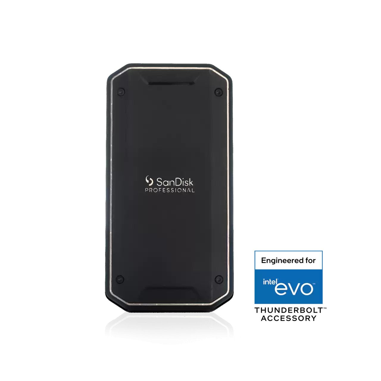 Sandisk Professional Pro-G40 Ssd 4tb (Exfat)
