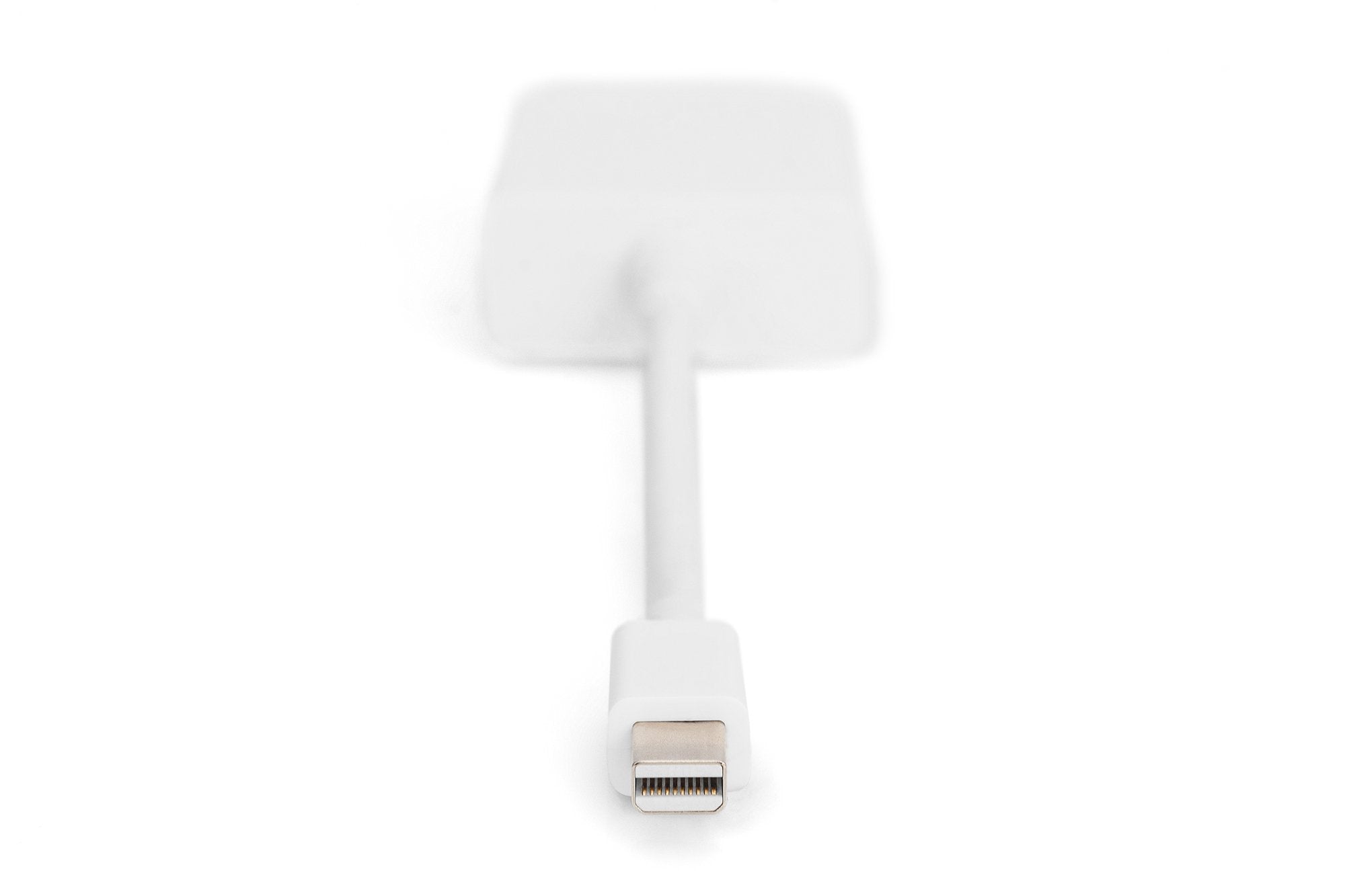 EAN 4016032289579 - Digitus AK-340406-001-W adaptador de cable de vídeo 0,15 m Mini DisplayPort DVI-D Blanco imagen 3