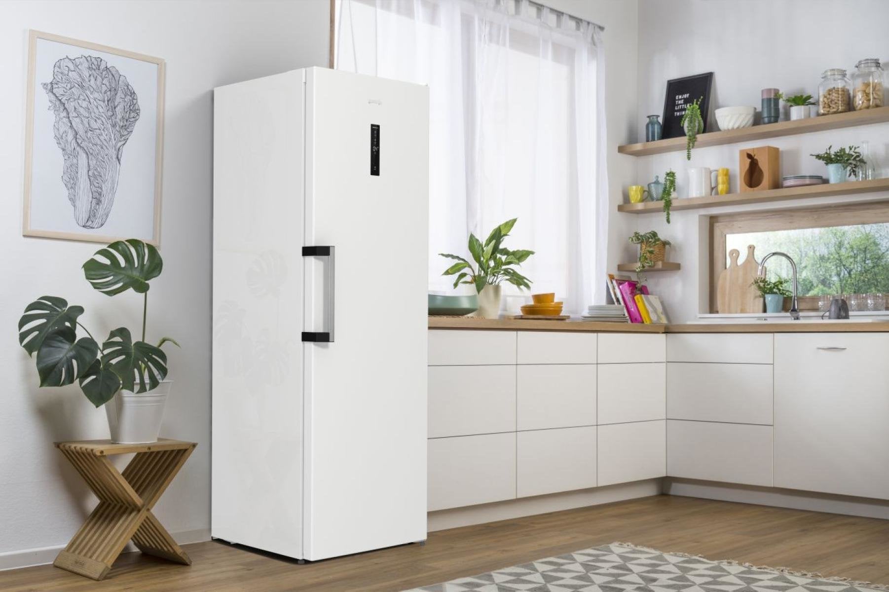 R619eaw6 Gorenje Cooler
