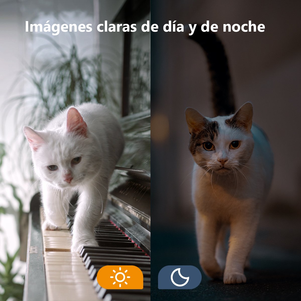 EAN 6971927233090 - Imou Versa imagen 17