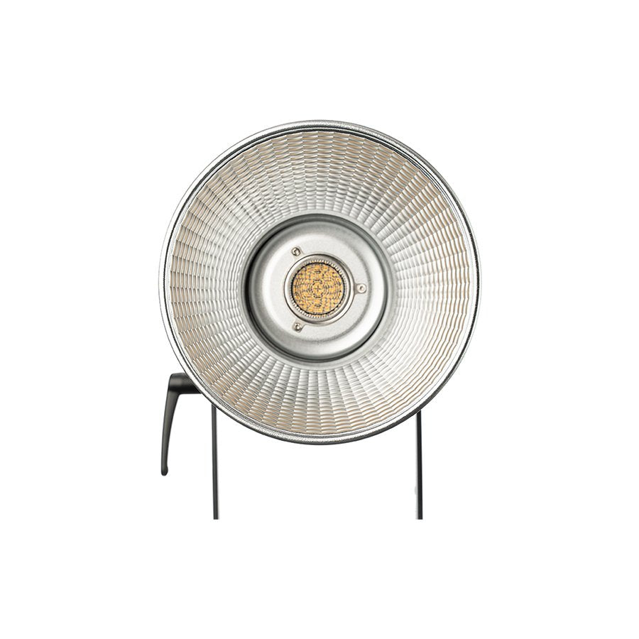 Aputure Ls 300x Kit V-Mount