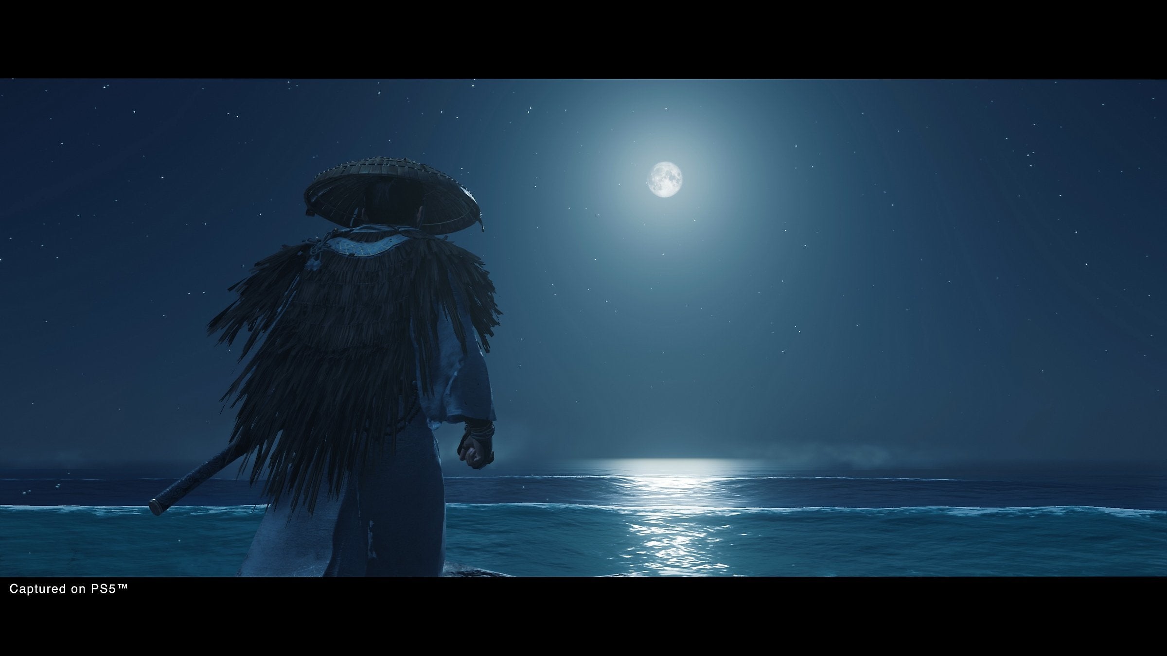 EAN 0711719713890 - Sony Ghost of Tsushima Director's Cut Montaje del director Plurilingüe PlayStation 5 imagen 15