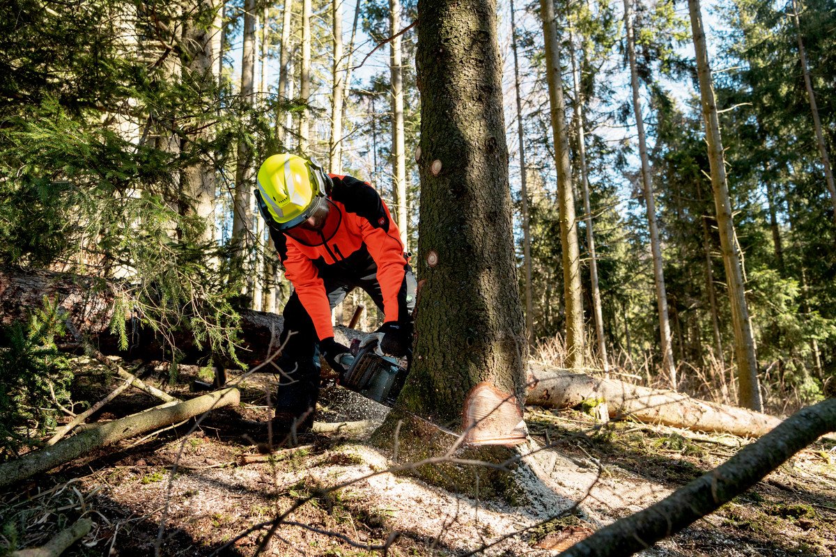 Motosierra De Batería Metabo Ms 36-18 Ltx Bl 40