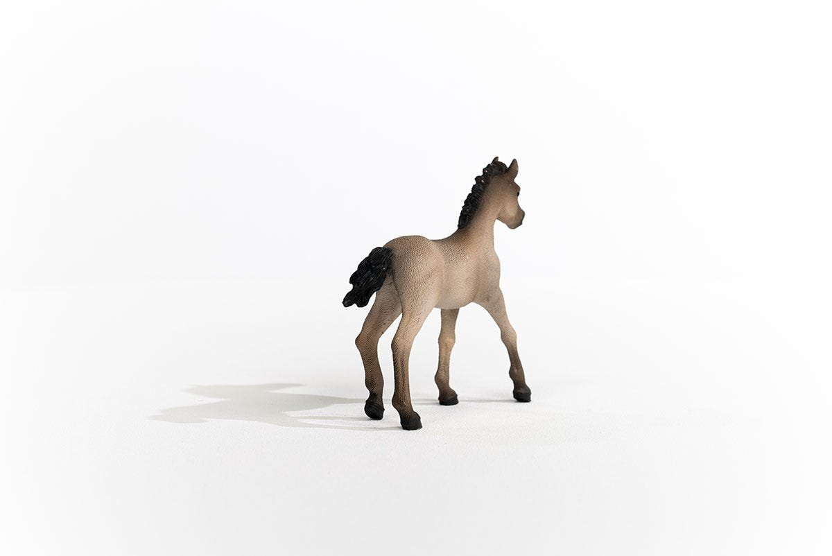 Schleich Horse Club 13949 Criollo Definitivo Fohlen