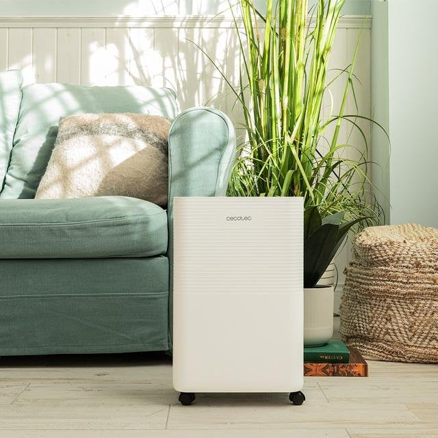 EAN 8435484083140 - Cecotec BigDry 8000 2 L 17,5 dB 450 W Blanco imagen 4
