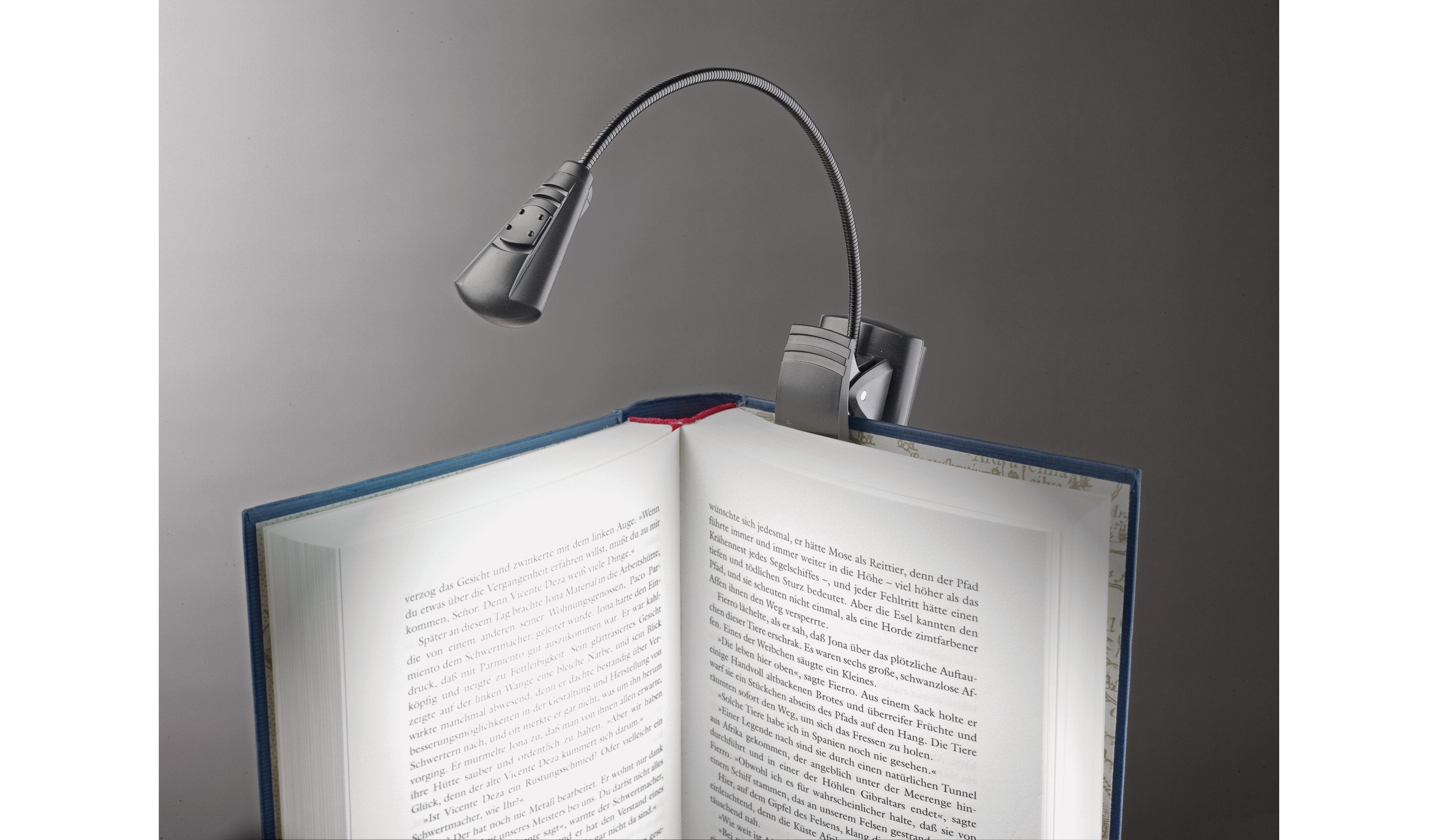 EAN 4016842102396 - König & Meyer 12241 imagen 3