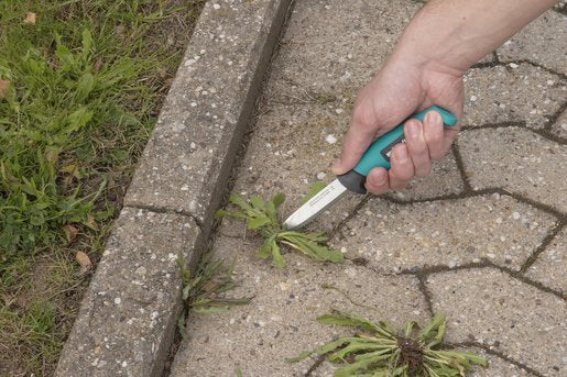 EAN 4006885408609 - wolfcraft GmbH 4086000 cúter Turquesa Cuchillo de hoja fija imagen 5