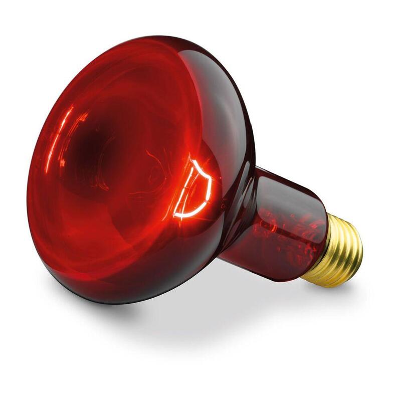 Beurer Replacement Lamp For Red Light And Infrared Lamps