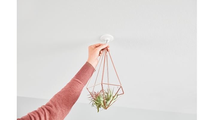 Tesa Deckenhaken Tapete&Putz 0.5kg