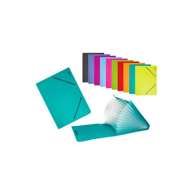 Bismark Carpeta Fuelle Acordeón 13 C/Goma A4 Pp Transparente C/Surtidos