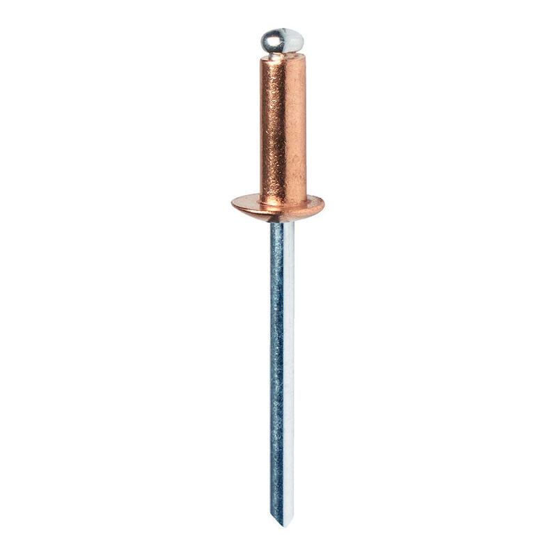 Blister 50 Remaches Ø4x10mm Alu+Broca Cobreado 5001462 Rapid