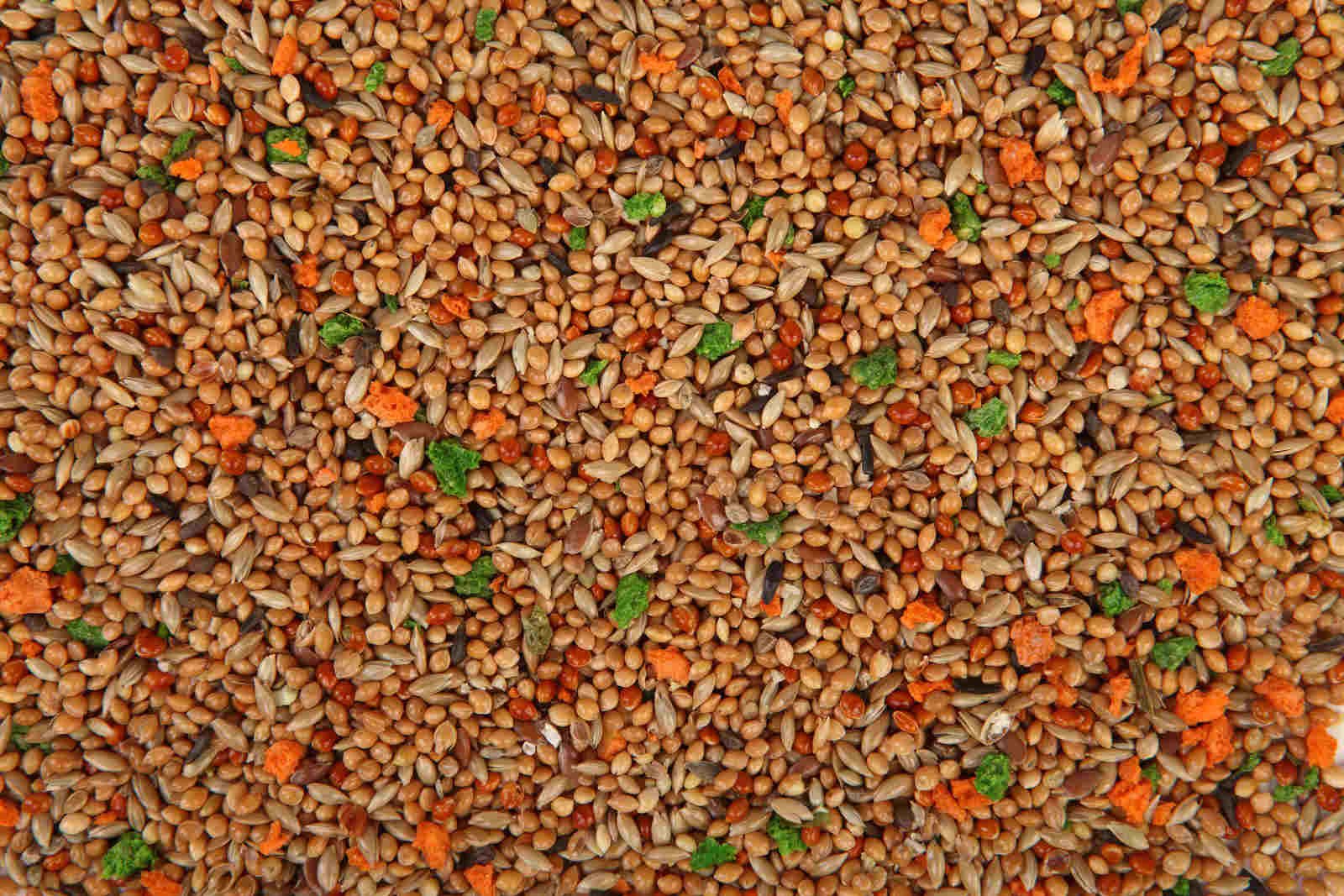 EAN 5906485082140 - Megan ME10 comida para ave doméstica 750 g imagen 2