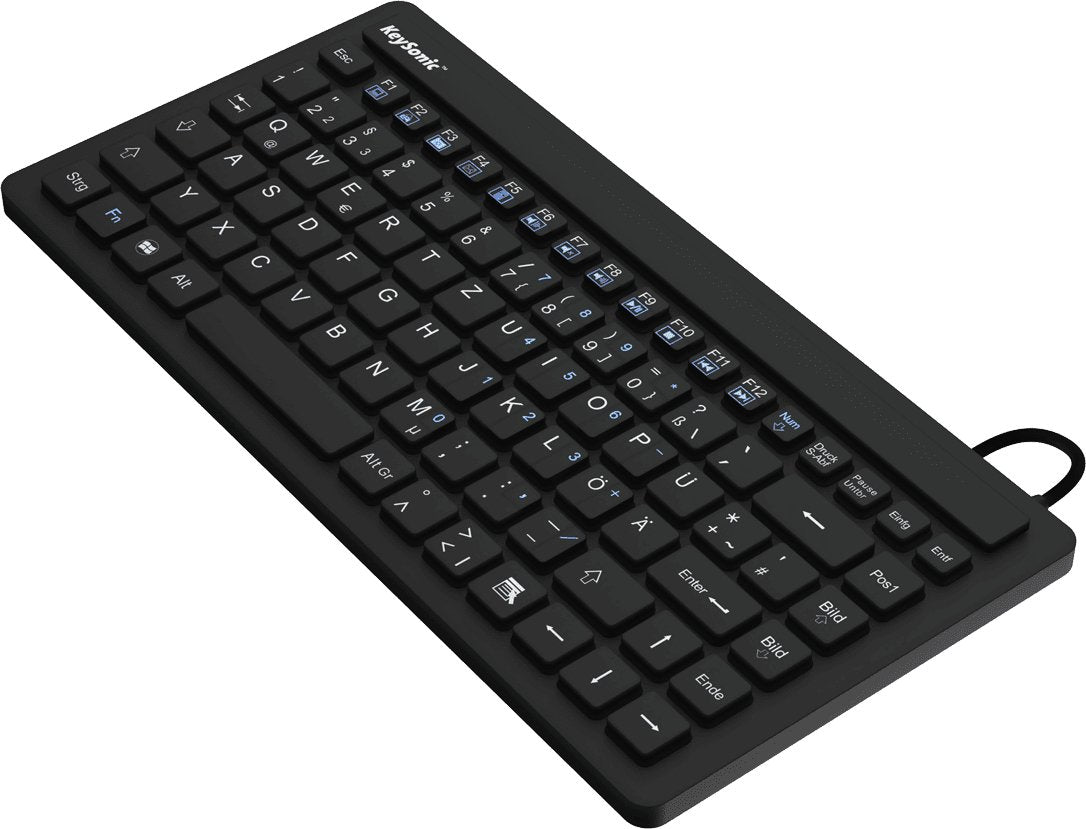 EAN 4250078165781 - KeySonic KSK-3230IN (US) teclado Industrial USB QWERTY Inglés de EE. UU. Negro imagen 1