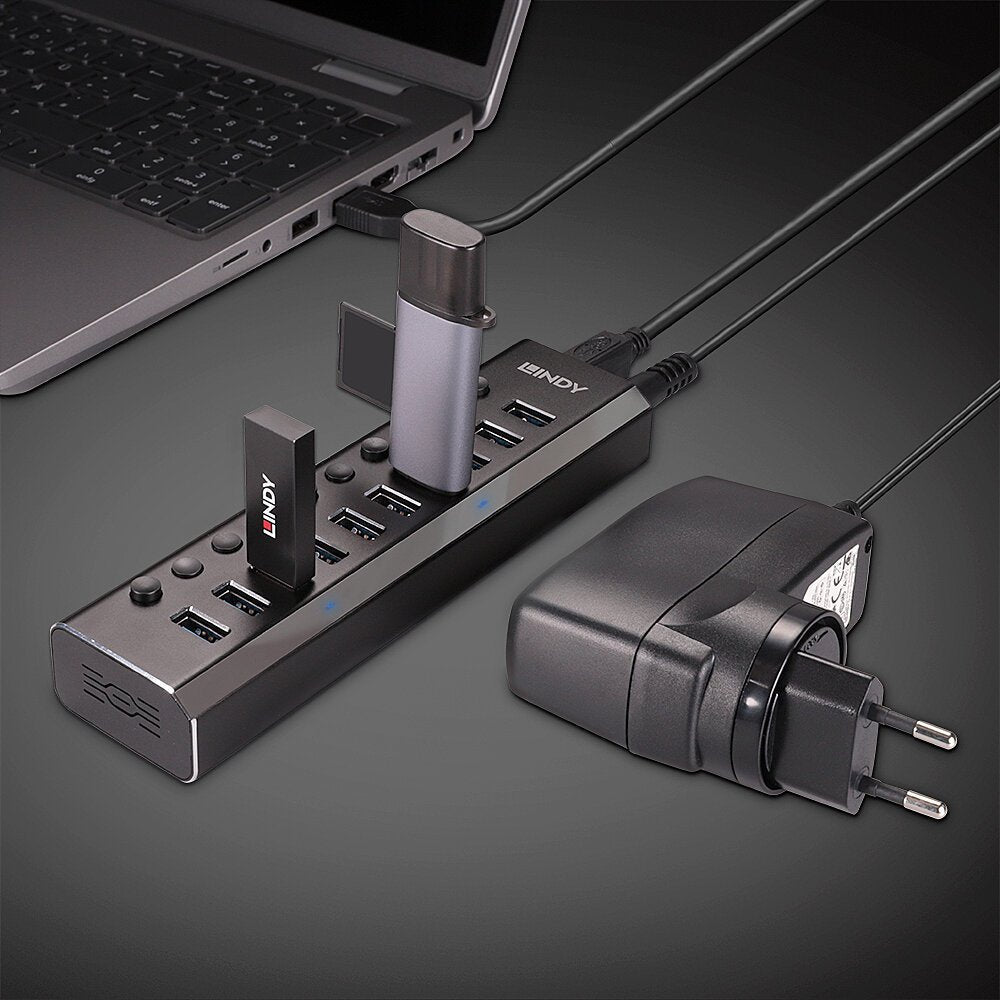 Lindy 10 Port Usb 3.0 Hub With On/Off Switches Usb 3.2 Gen 1 (3.1 Gen 1) Type-B 5000 Mbit/S Negro