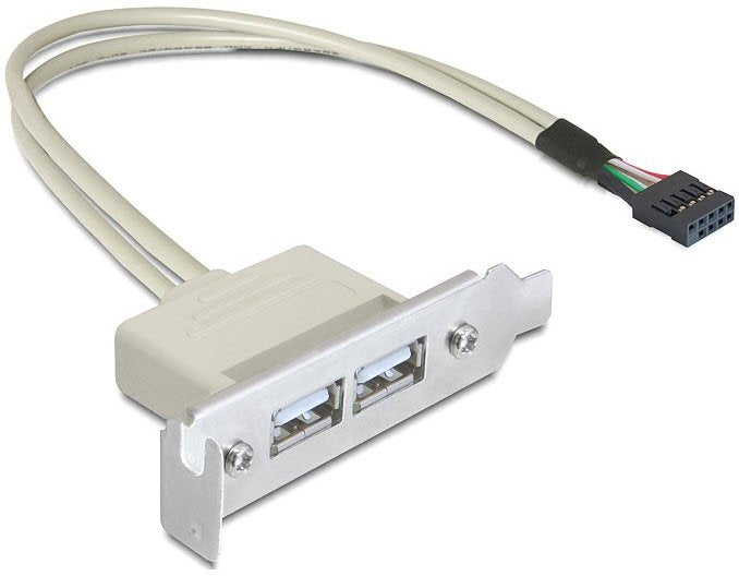 Delock Slot Bracket Usb 2.0 Low Profile 2 Puertos