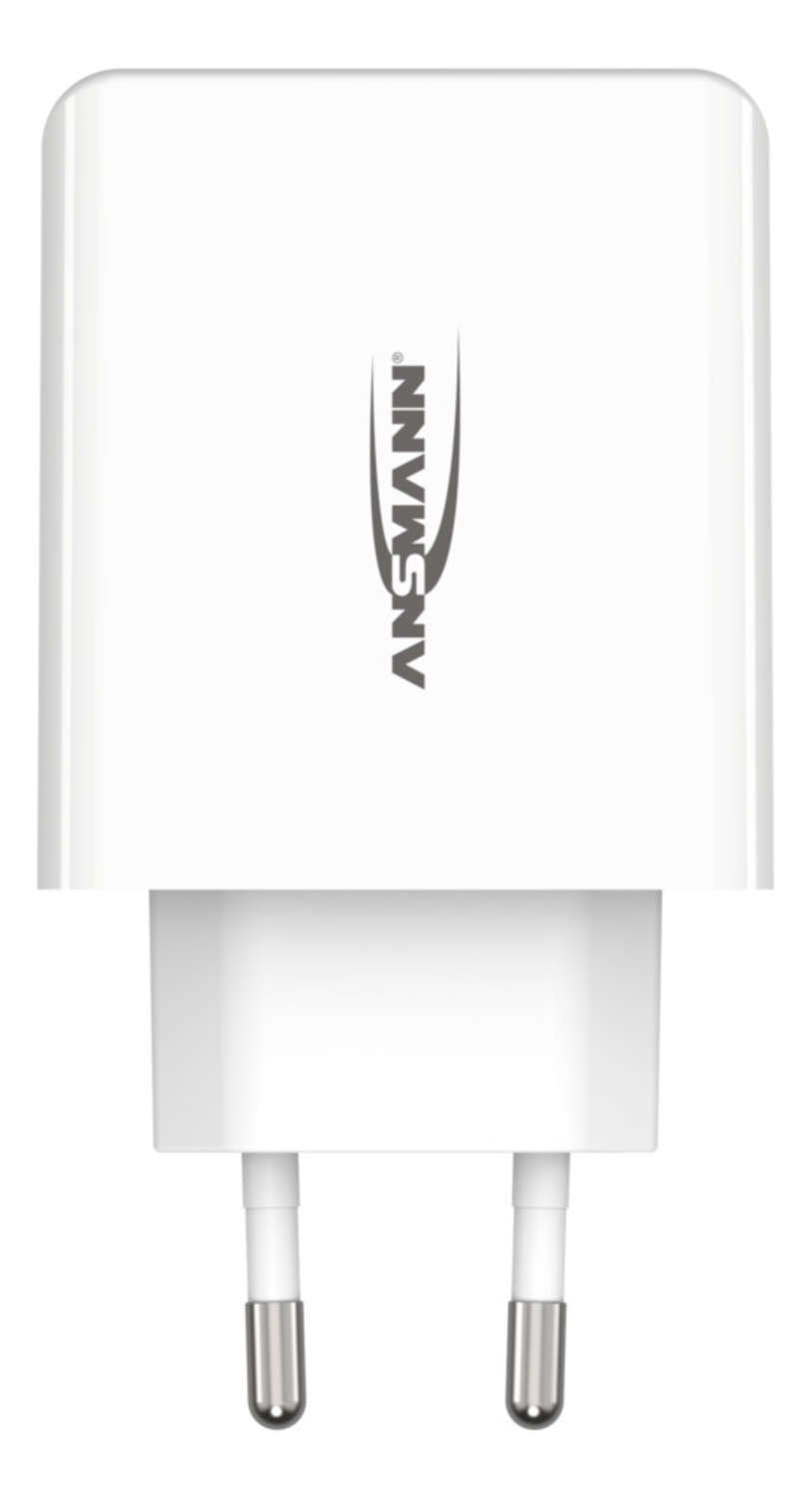 EAN 4013674176694 - Ansmann HC430 Universal Blanco Corriente alterna Interior imagen 2