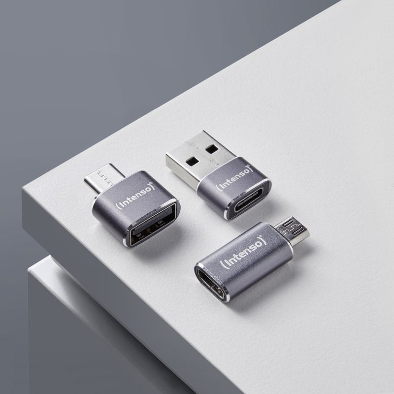 EAN 4034303038152 - Intenso 7600913 cambiador de género para cable Gris imagen 22