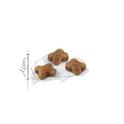 EAN 3182550702423 - Royal Canin Feline Kitten alimento seco para gatos 2 kg Gatito Aves imagen 2