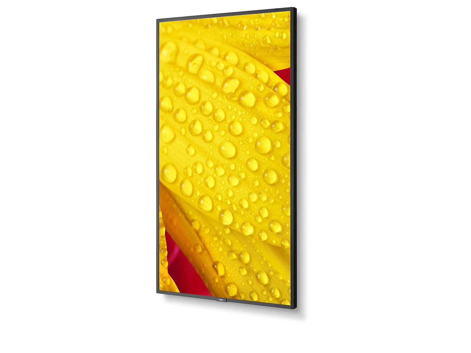 Monitor Nec - 43' Ultra High Definition Commercial Display