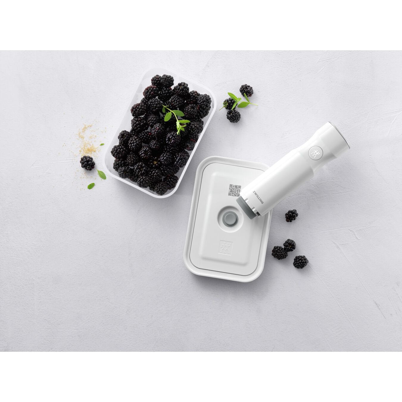 EAN 4009839523939 - ZWILLING FRESH & SAVE Táper Plástico, Silicona Gris 1 pieza(s) imagen 4