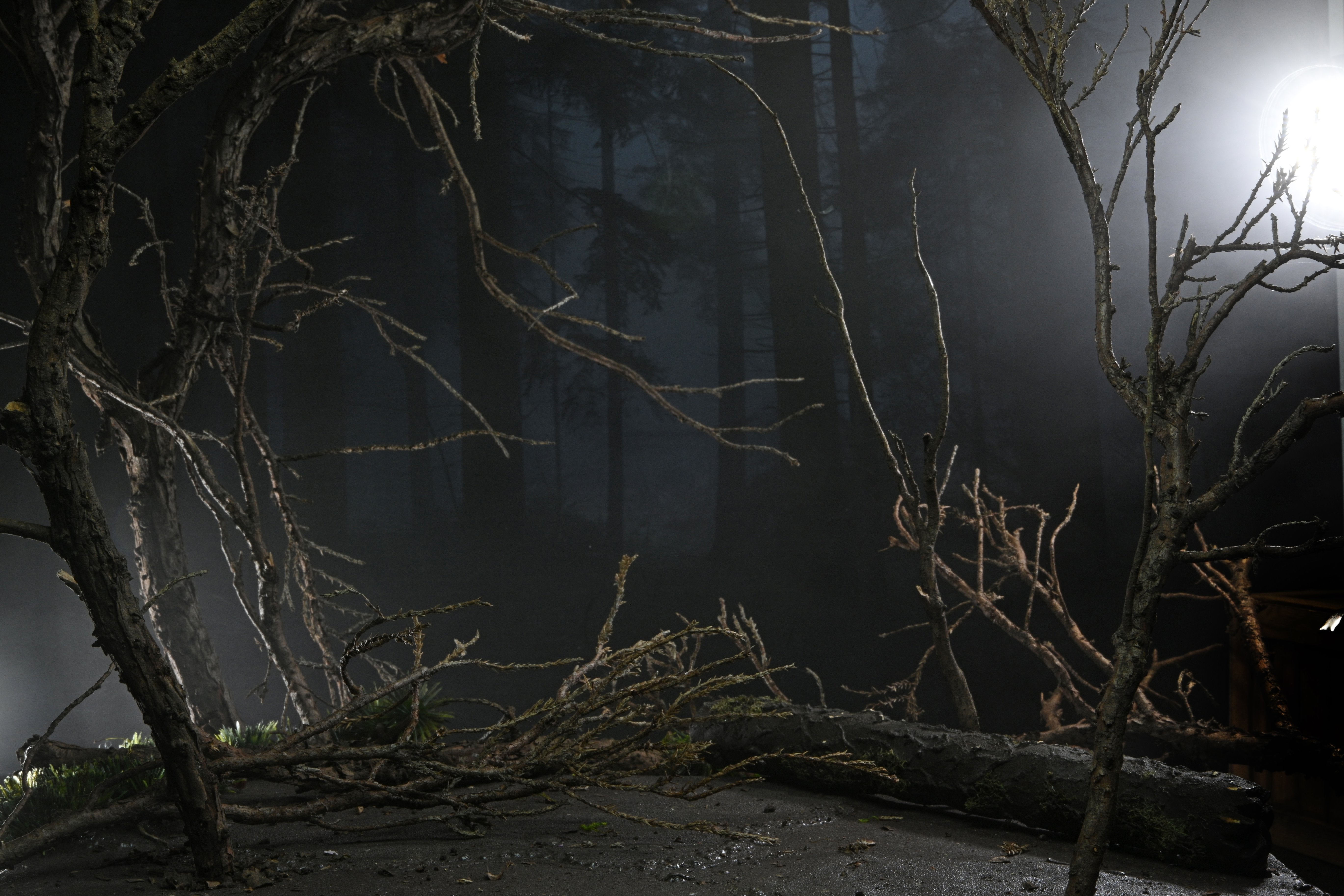 EAN 0634482048092 - NECA Ultimate Wolf Man imagen 20