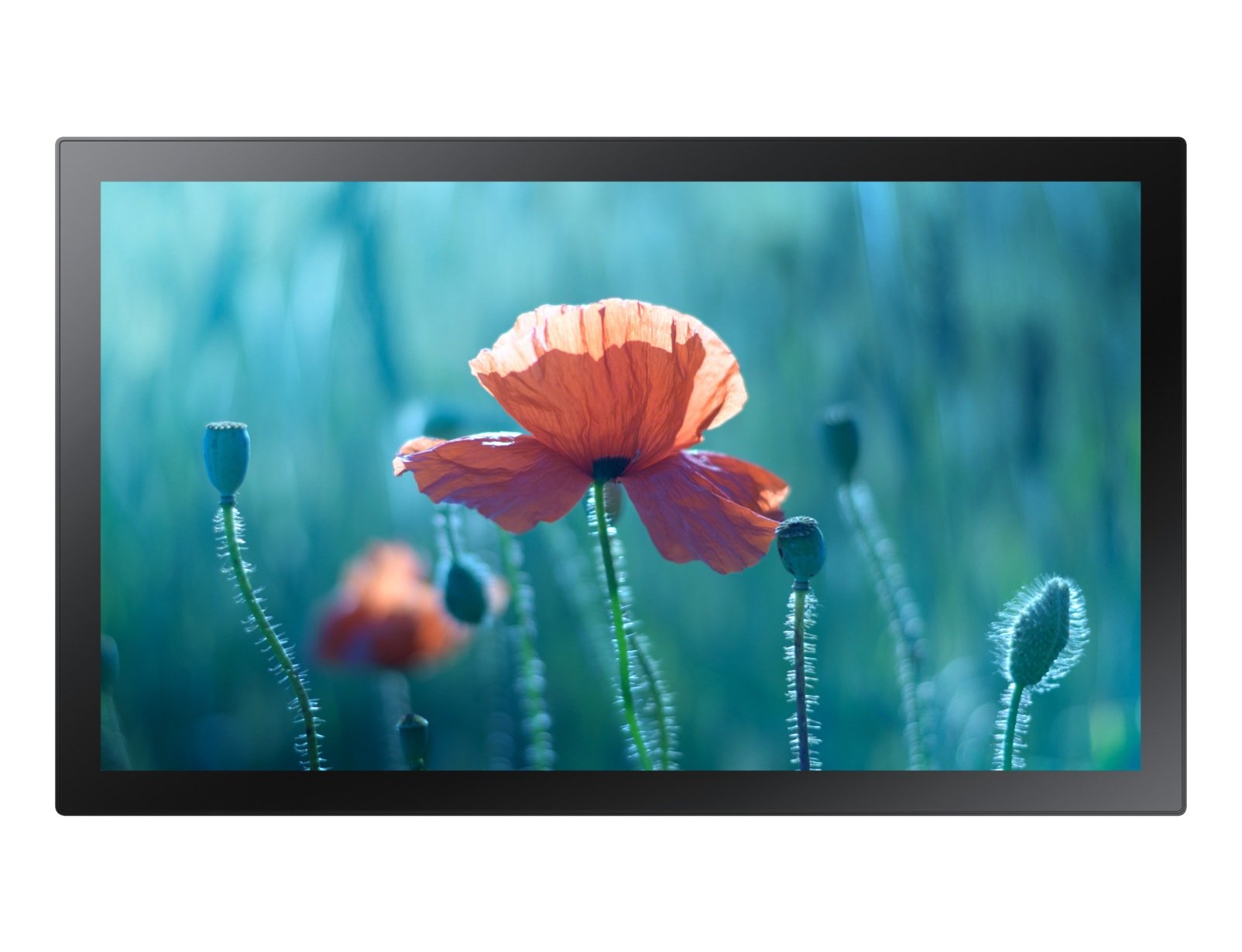 Monitor Samsung Señalizacion Inteligente Qb13t 13 Lh13qbrtbgcxen