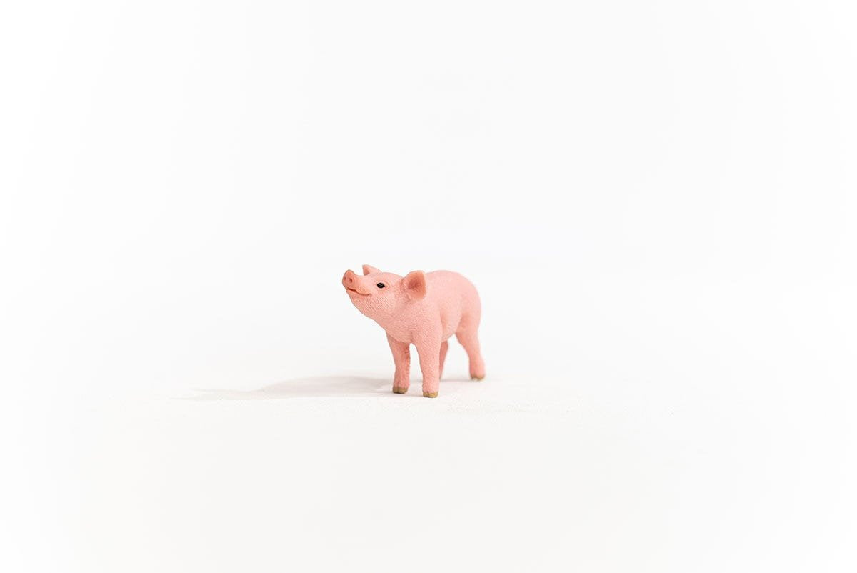 EAN 4059433358628 - schleich FARM WORLD 13934 figura de juguete para niños imagen 2