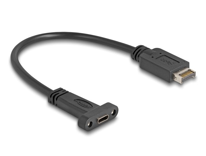 Delock 85454 Cable Usb 10 Gbps Key Usb Tipo-E A De 20 Pines Macho A Usb Type-C Hembra De Montaje En Panel De 25 Cm