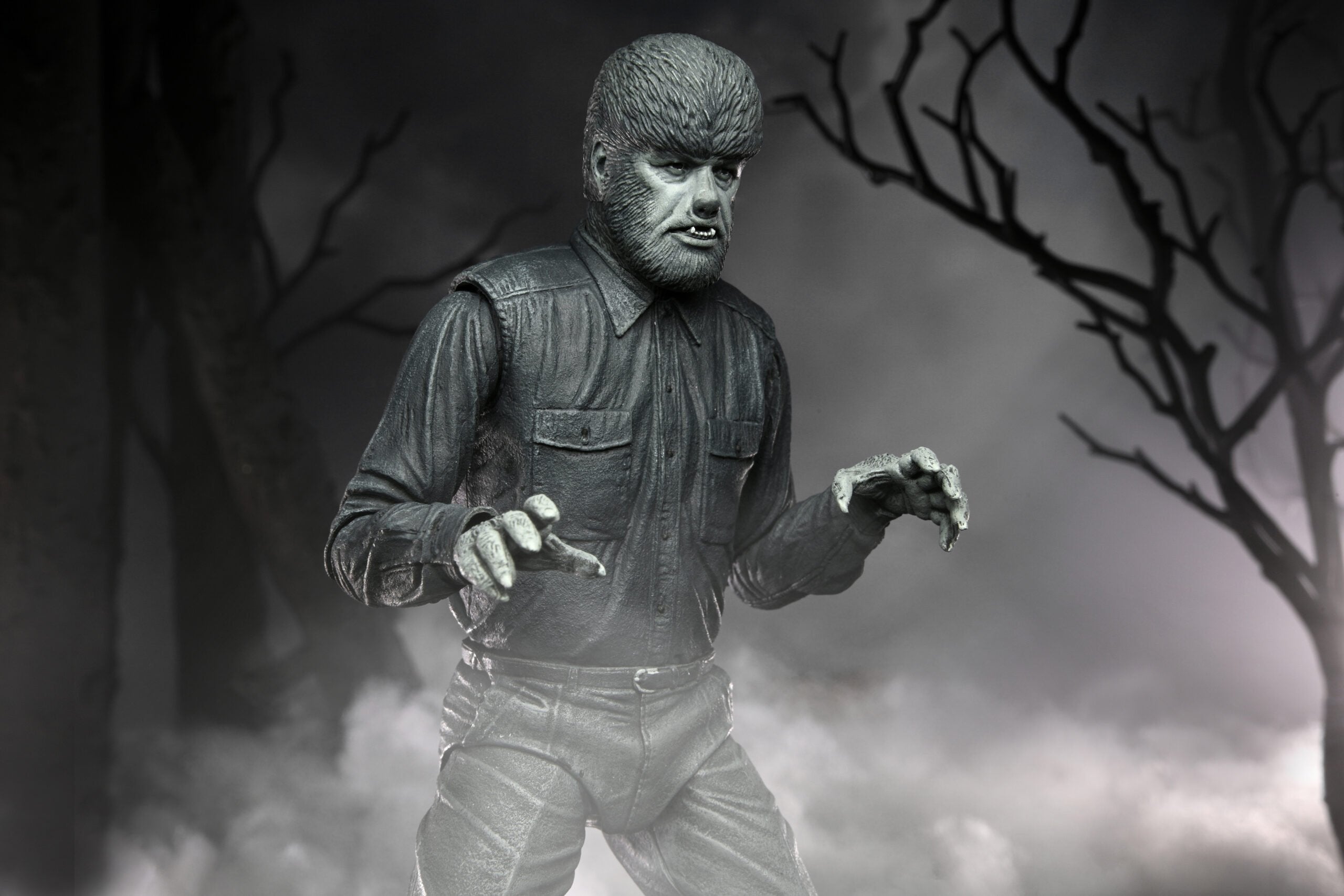 EAN 0634482048108 - NECA Ultimate Wolf Man (Black & White) imagen 7