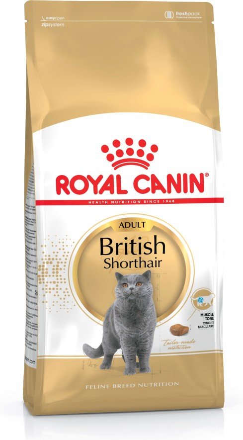 Royal Canin British Shorthair Alimento Seco Para Gatos 400 G Adult
