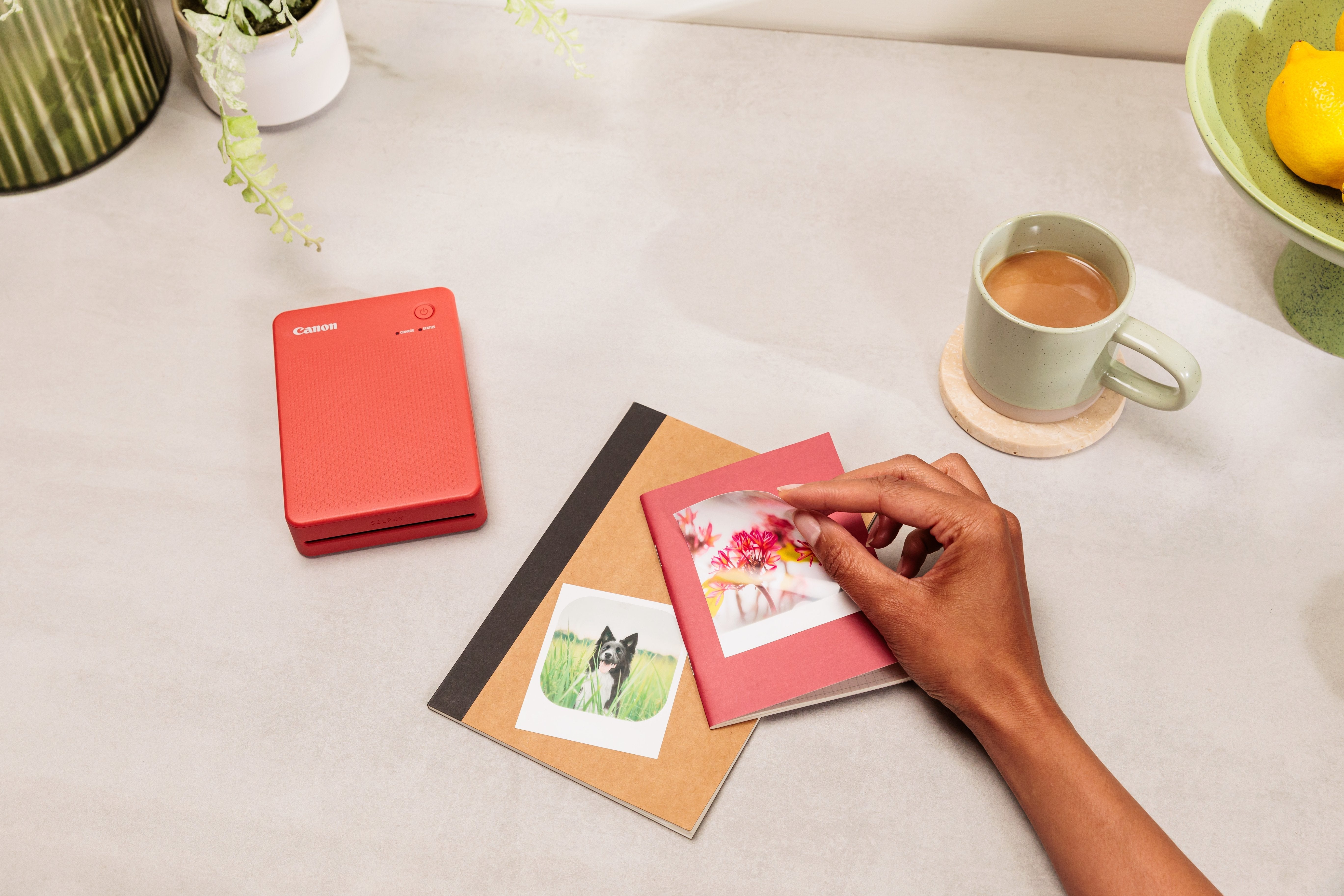 EAN 4549292238457 - Canon SELPHY QX20 WH impresora de foto Pintar por sublimación 287 x 287 DPI 2.8" x 3.3" (7.2x8.5cm) Wifi imagen 42