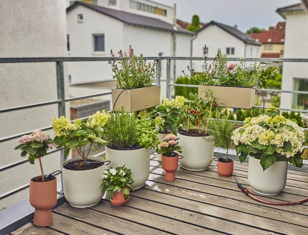 Set De Riego Por Goteo Micro-Drip-System Gardena Balcón, 15 Plantas, Goteros (Negro/Gris, Modelo 2023)
