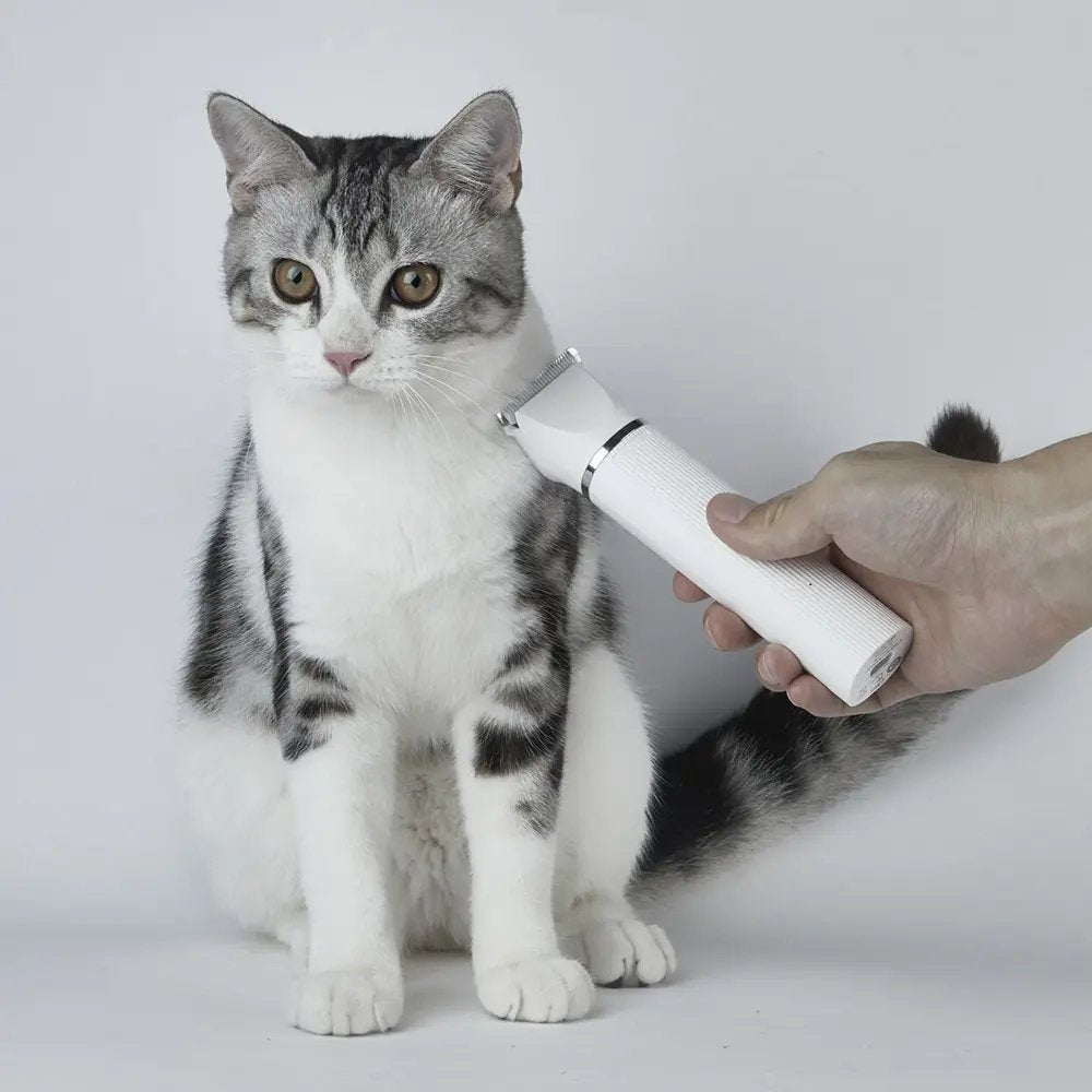 EAN 6973293809190 - PETKIT PN103487 Batería 7000 RPM 6000 RPM imagen 7