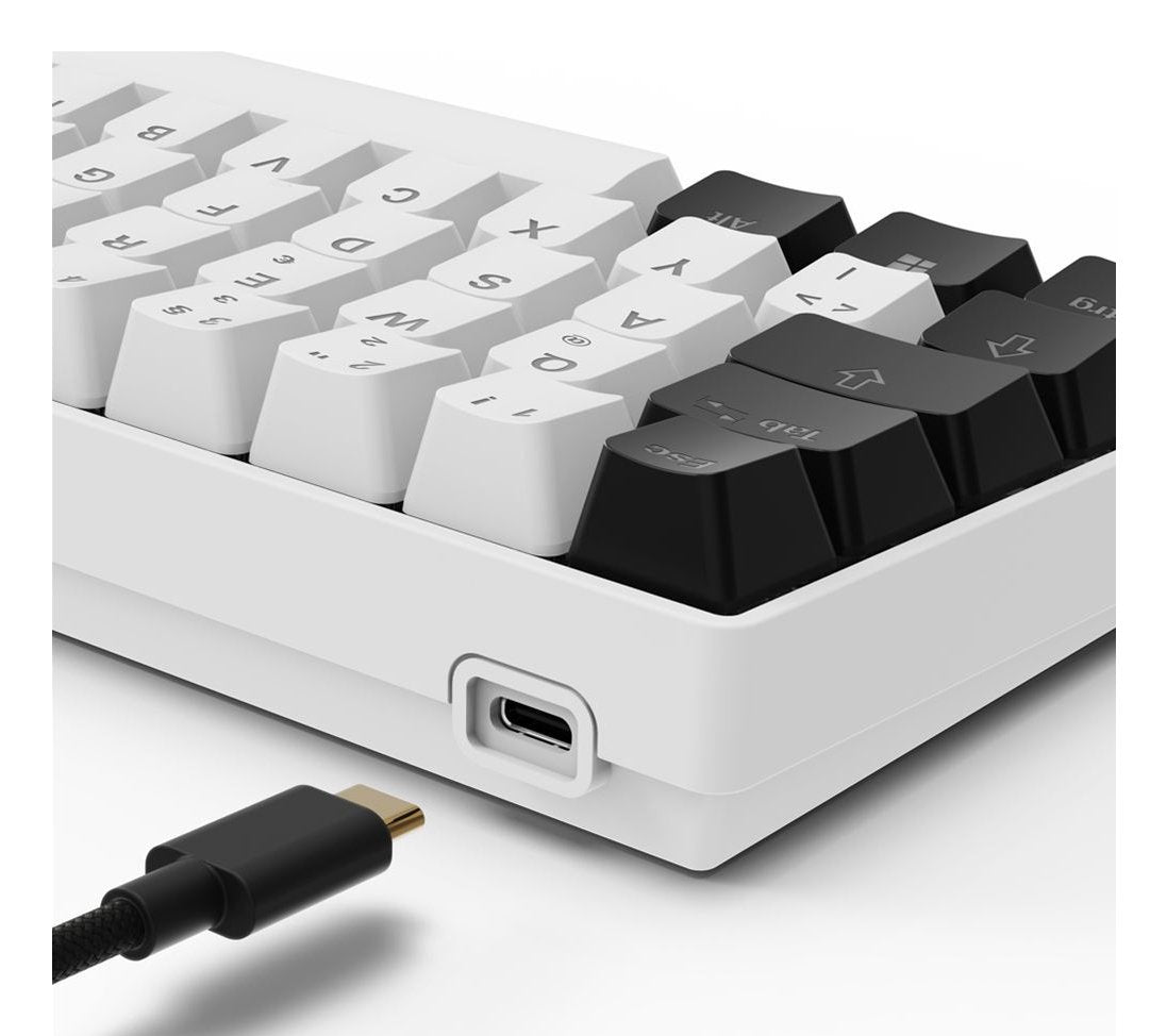 EAN 4044951041886 - Sharkoon SGK50 S4 teclado Hogar USB QWERTZ Alemán Blanco imagen 4
