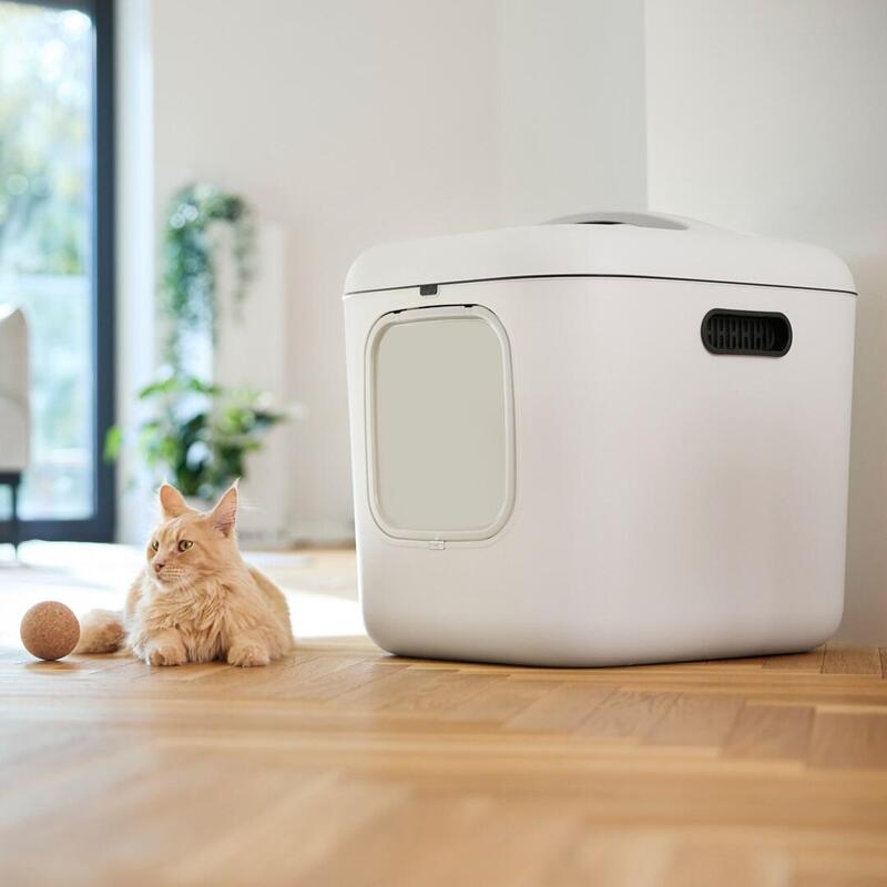 Caja De Arena Rotho Biala Xl White Gatos