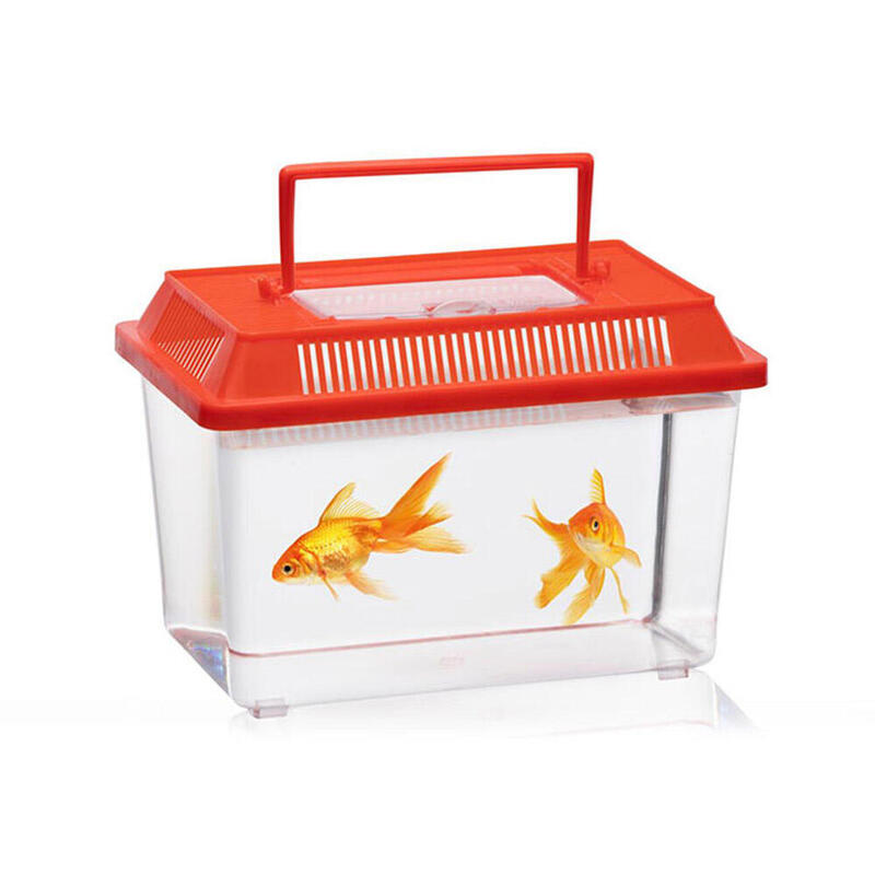Caja Para Insectos Colores Surtidos
