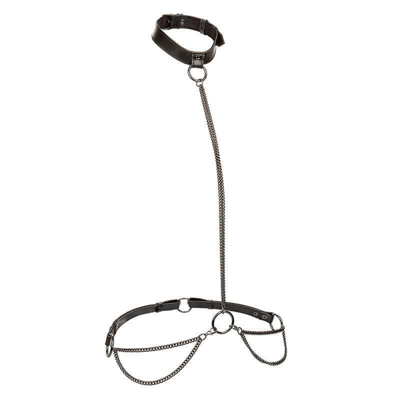 Calexotics - Euphoria Collar Halter Y Correa Con Cadena