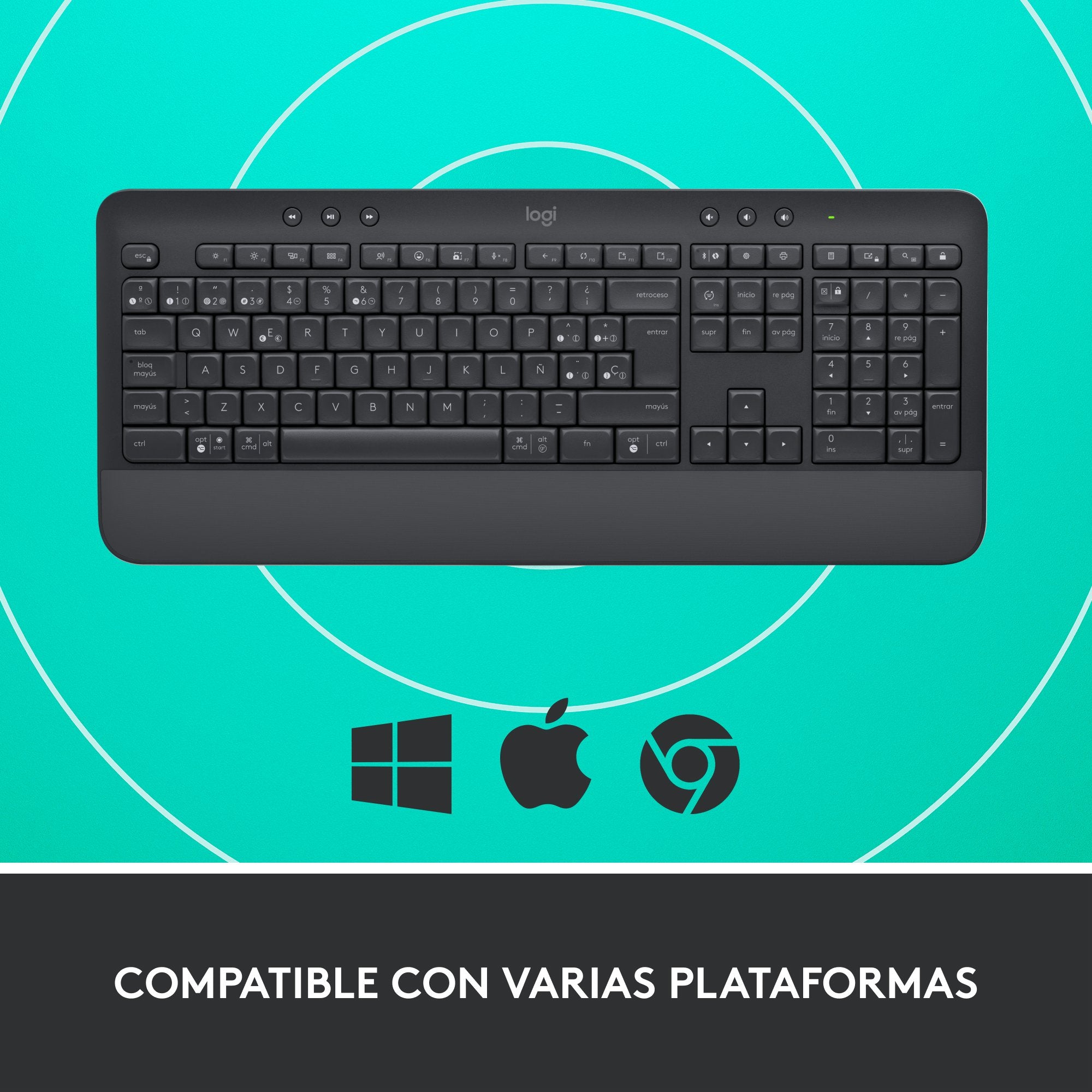EAN 5099206105546 - Logitech 920-010917 teclado Oficina Bluetooth QWERTY Español Grafito imagen 11
