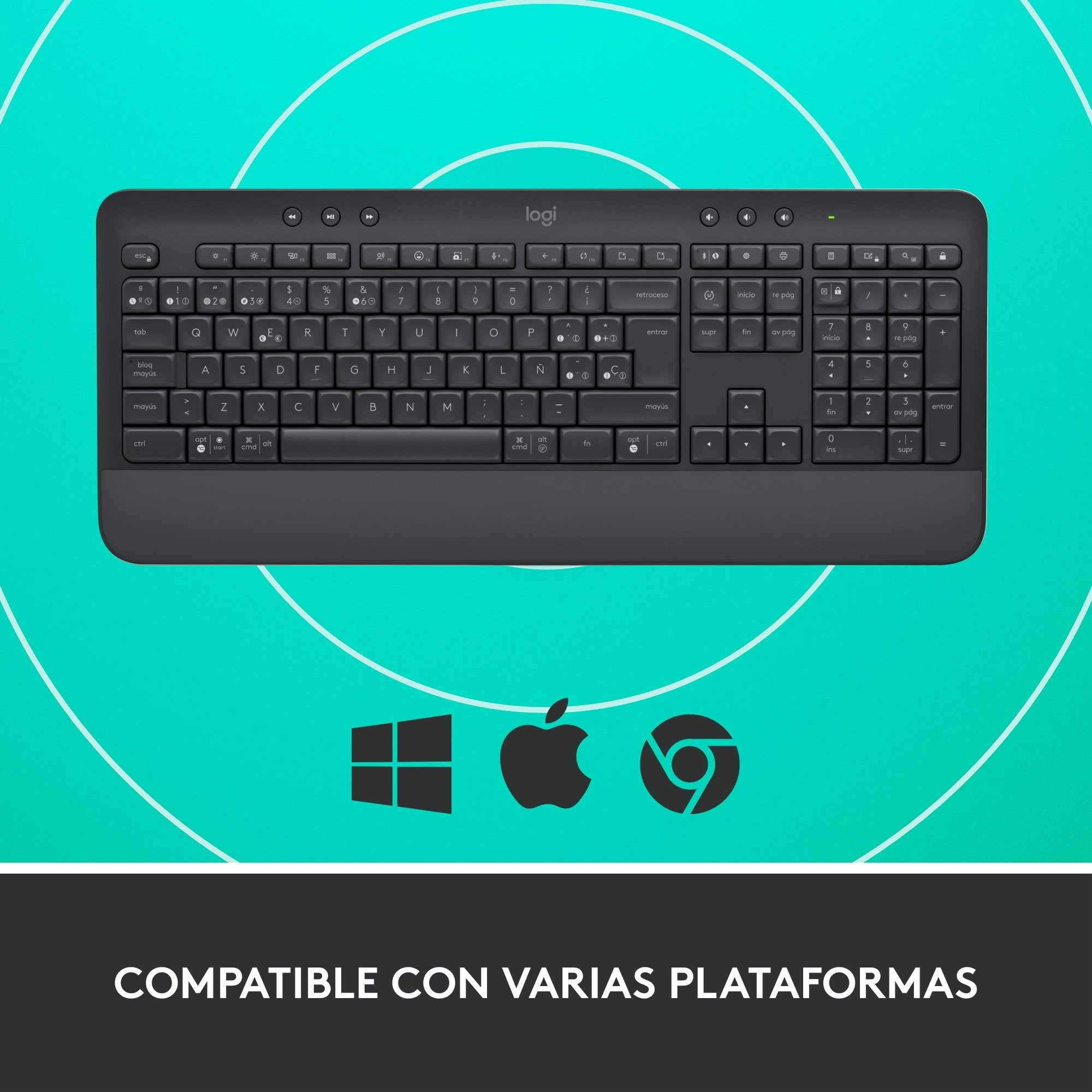 EAN 5099206105546 - Logitech 920-010917 teclado Oficina RF Wireless + Bluetooth QWERTY Español Grafito imagen 11