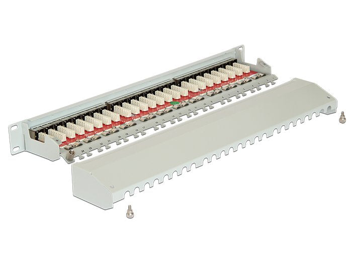 Delock Patchpanel 19" 24 Puertos Cat.6a Gris