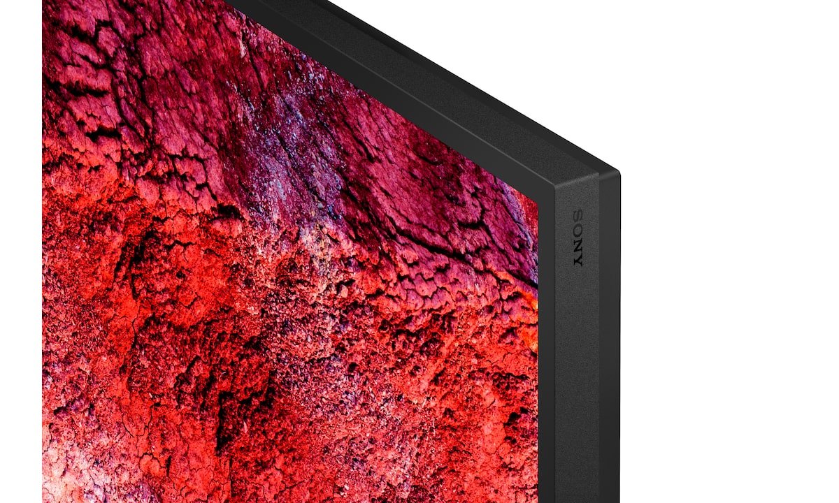 Sony 65" Pro Bravia 700nit Dbng Premium Display