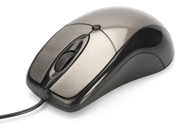Ednet 81046 Ratón Usb Tipo A Óptico 800 Dpi Ambidextro