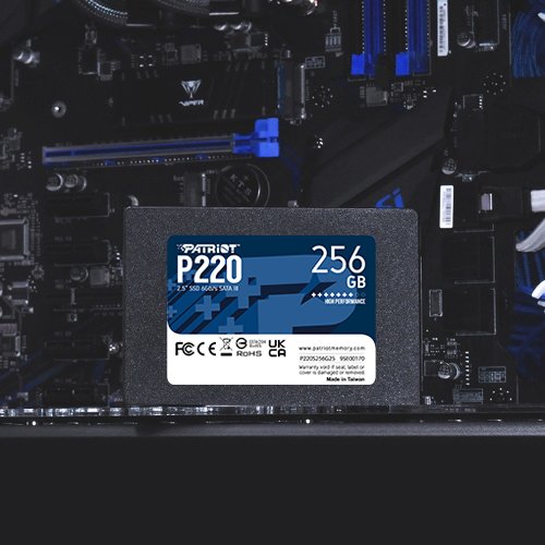 EAN 4711378422344 - Patriot Memory P220 256GB 2.5" Serial ATA III imagen 4