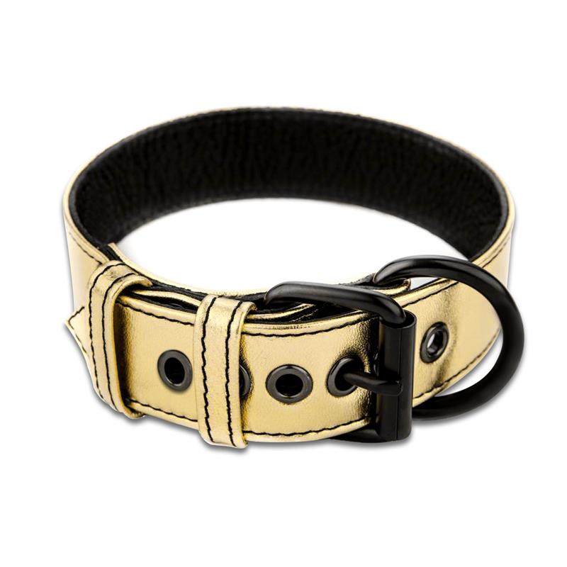 Collar Con Correa Bondage Dorado