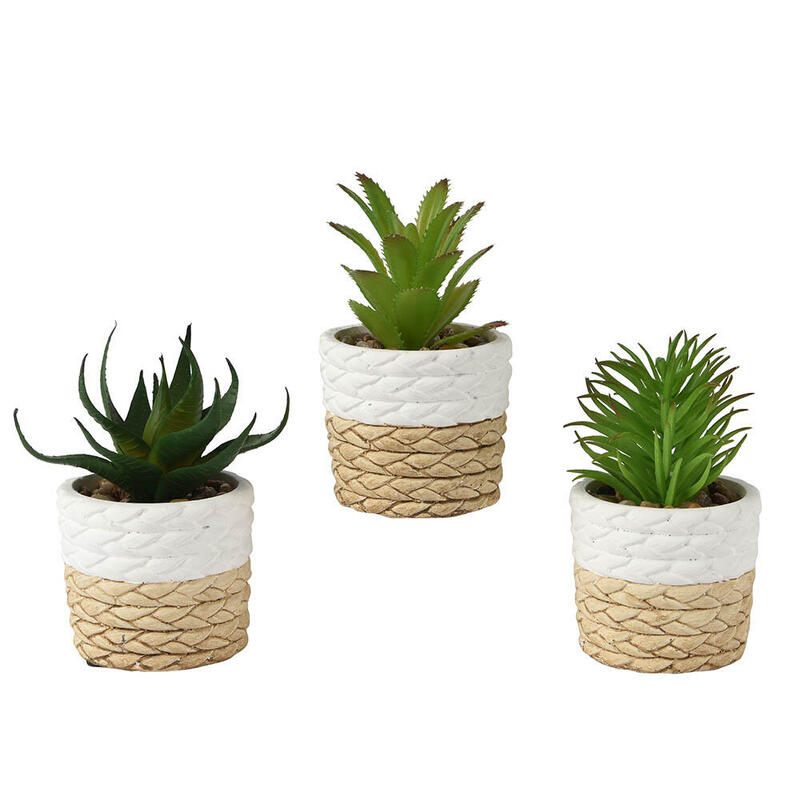 Conjunto 3 Macetas De Decoración