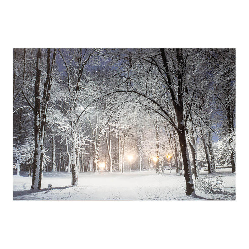 Cuadro Led Paisajes Nevados 58x1,5x38cm 6 Leds 2 Modelos Surtidos