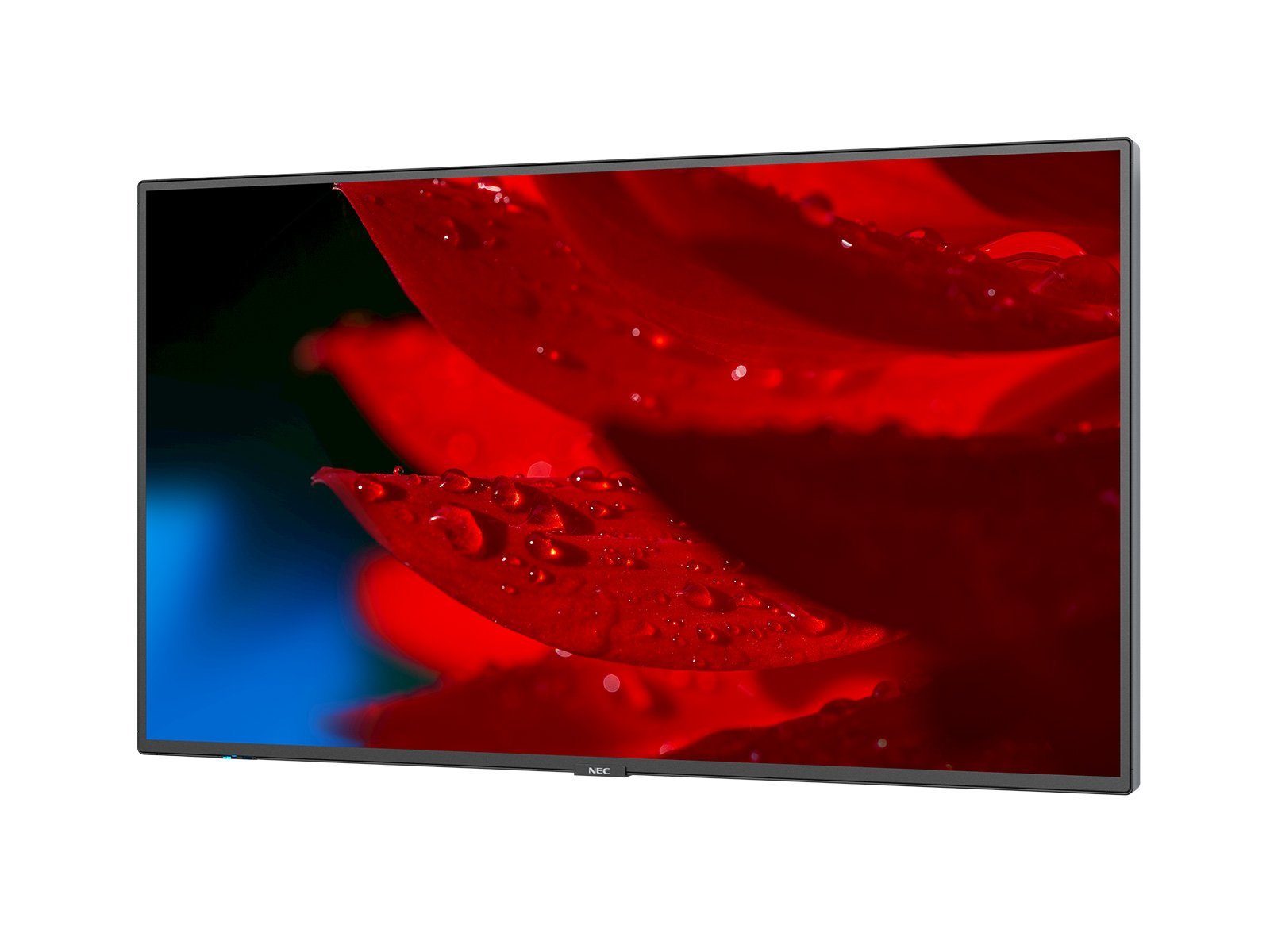 EAN 5028695119338 - NEC MultiSync MA431 Pantalla plana para señalización digital 109,2 cm (43") LCD 500 cd / m² 4K Ultra HD N imagen 6
