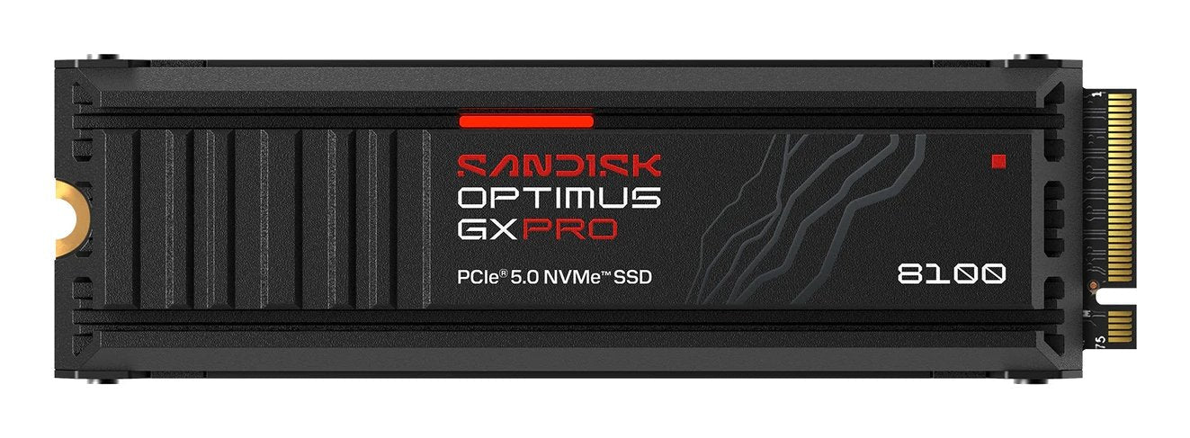 2 Tb Ssd Sandisk Optimus Gx Pro 8100 Nvme Heatsink