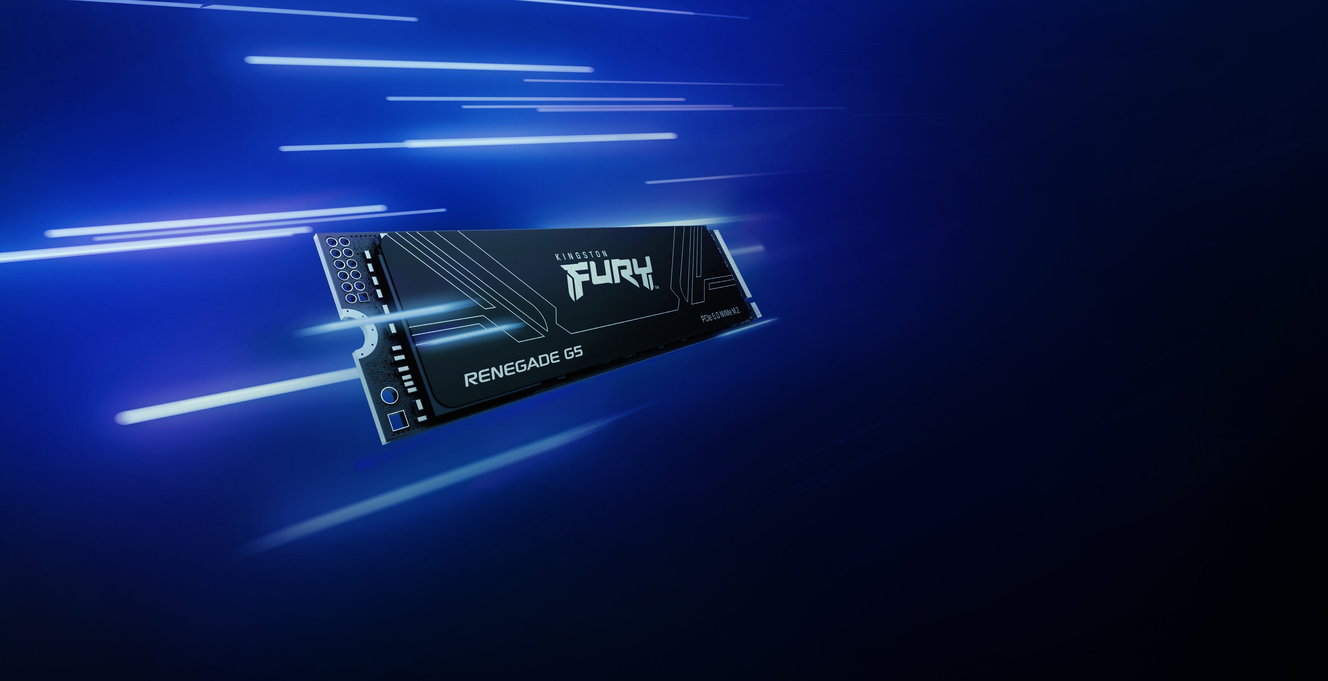 EAN 0740617349481 - Kingston Technology FURY Renegade G5 1 TB PCI Express 5.0 3D TLC imagen 11